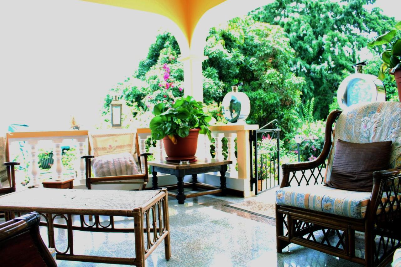 Villa Mon Dezir Au Cap